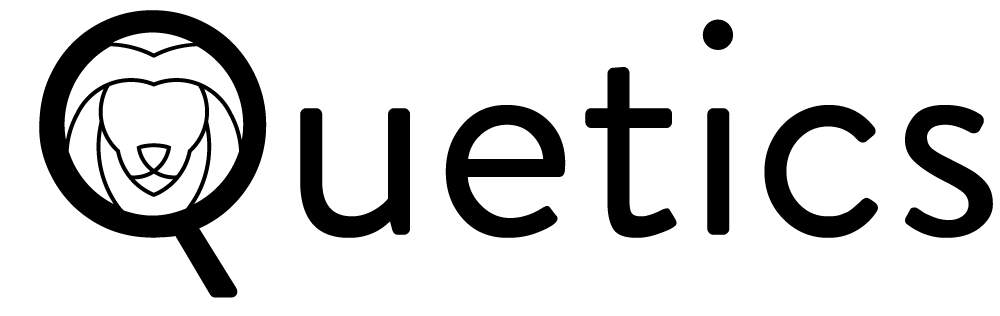 Quetics - Lieuwe Zijlstra